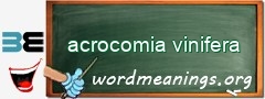 WordMeaning blackboard for acrocomia vinifera